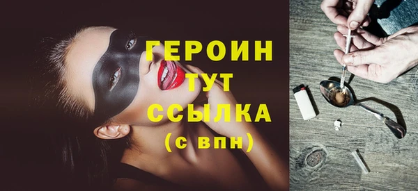 индика Гусев