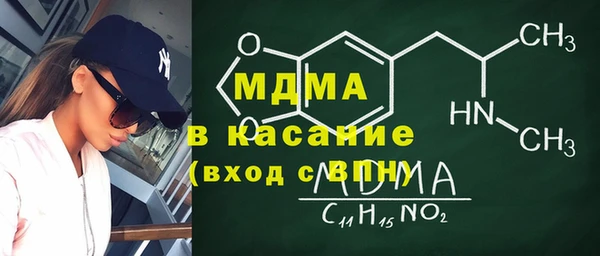 индика Гусев