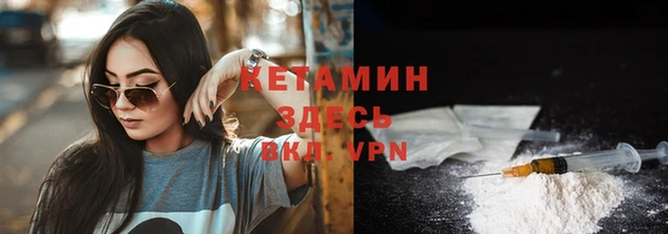 индика Гусев