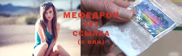 индика Гусев