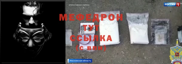 индика Гусев