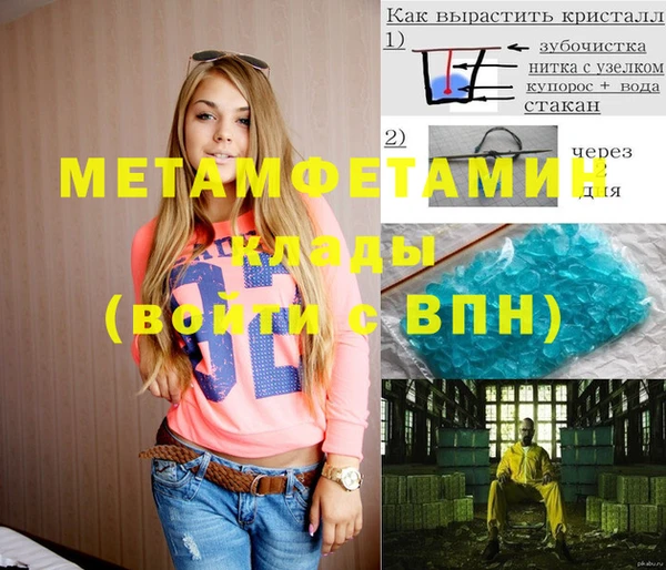 индика Гусев