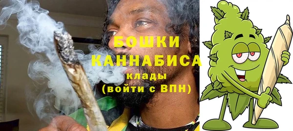 индика Гусев