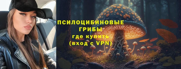 индика Гусев