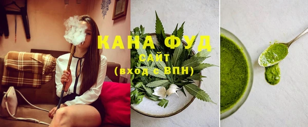 индика Гусев