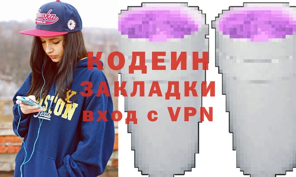 индика Гусев